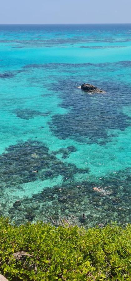 Rocky Point Posada Ocean Colors מראה חיצוני תמונה